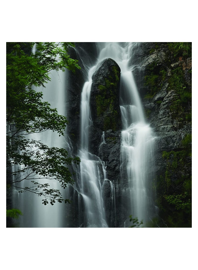 Nikon Nikon NIKKOR Z 100-400mm - Image 4