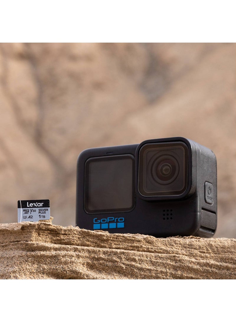 ليكسار MicroSDXC UHS-I Memory Card LMSSIPL128G-BNANG Silver 128GB 128 GB - Image 3