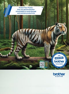 بروذر Genuine Brother TN279XL High Yield Magenta Toner -Yield ~2,300 Pages for HL-L3280CDW, DCP-L3520CDW, DCP-L3560CDW, MFC-L3720CDW, MFC-L3760CDW Magenta  - Image 4