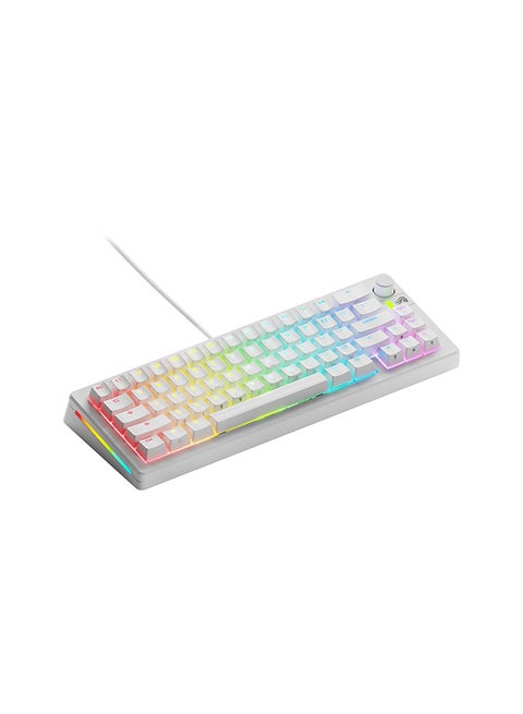 Glorious Gaming - GMMK 3 Custom Mechanical Gaming Keyboard with Knob, 65% Compact Keyboard, Modular Gasket System, Doubleshot PBT Keycaps, Aluminum Switch Plate, Hotswappable Switches, ANSI (White)