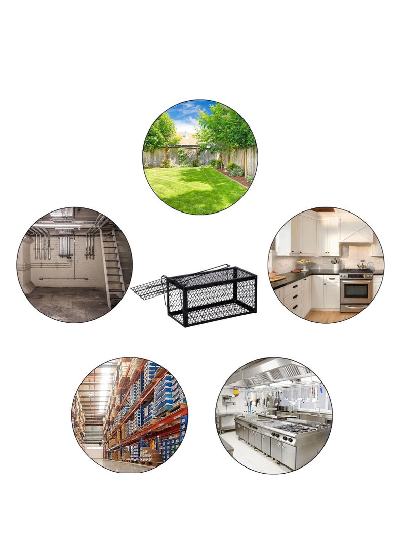 إي سي في في ECVV Humane Rat Trap, Live Mouse Rat Trap Cage, Thicken Steel Mice Traps for Small Rodent Animals, for Indoor and Outdoor..28 * 14 * 14 cm Large  - Image 5