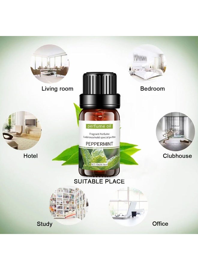 ECVV 4Pcs Essential Oil Set 10Ml Each Bottle For Humidifier Oil Fragrance Diffuser Home Fragrance Refill Oils Gift Set - Image 3