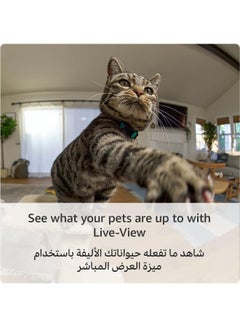 Ring Pan-Tilt Indoor Camera Plug-In Pet Security Camera 360  Pan & 169  Tilt Coverage  Manual Privacy Cover  Hd Video  Two-Way Talk  Wi-Fi  - Image 4
