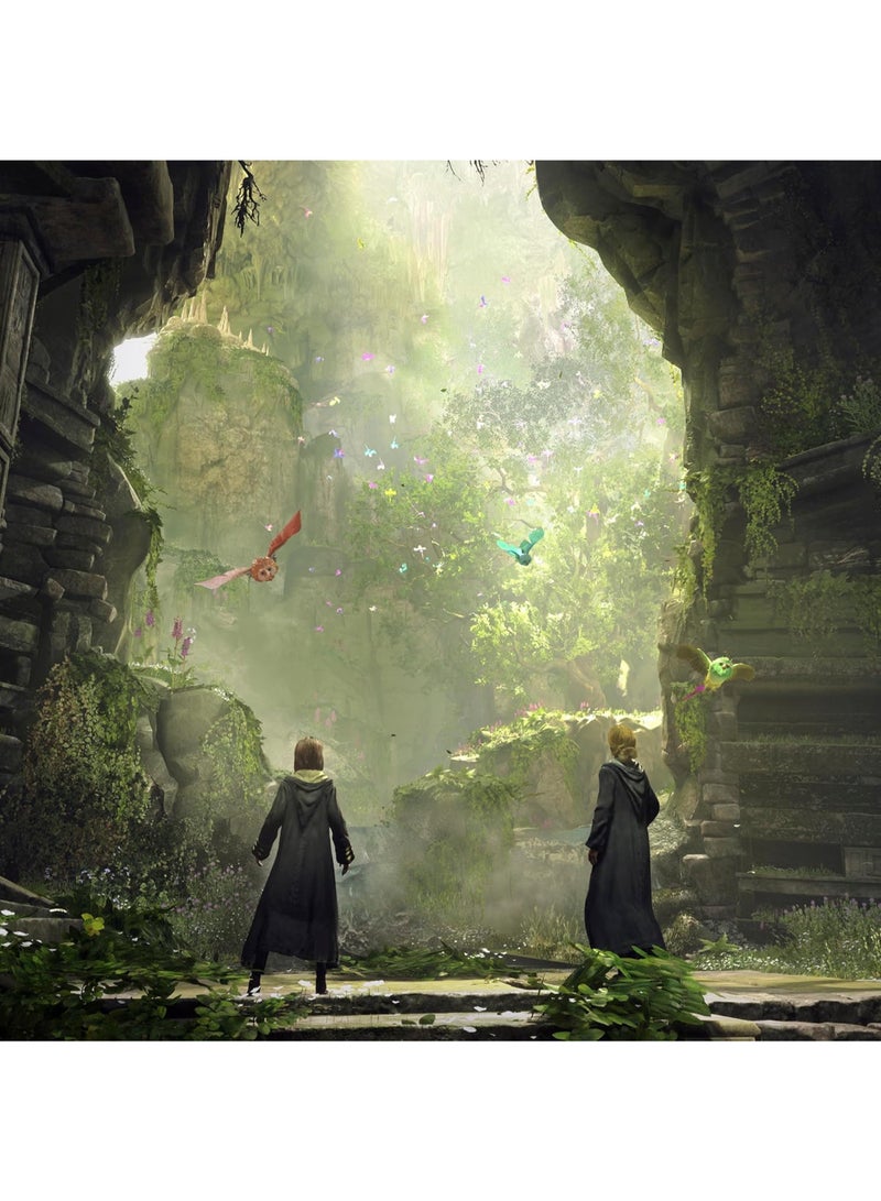 Warner Bros. Interactive - Hogwarts Legacy - Nintendo Switch - Image 1