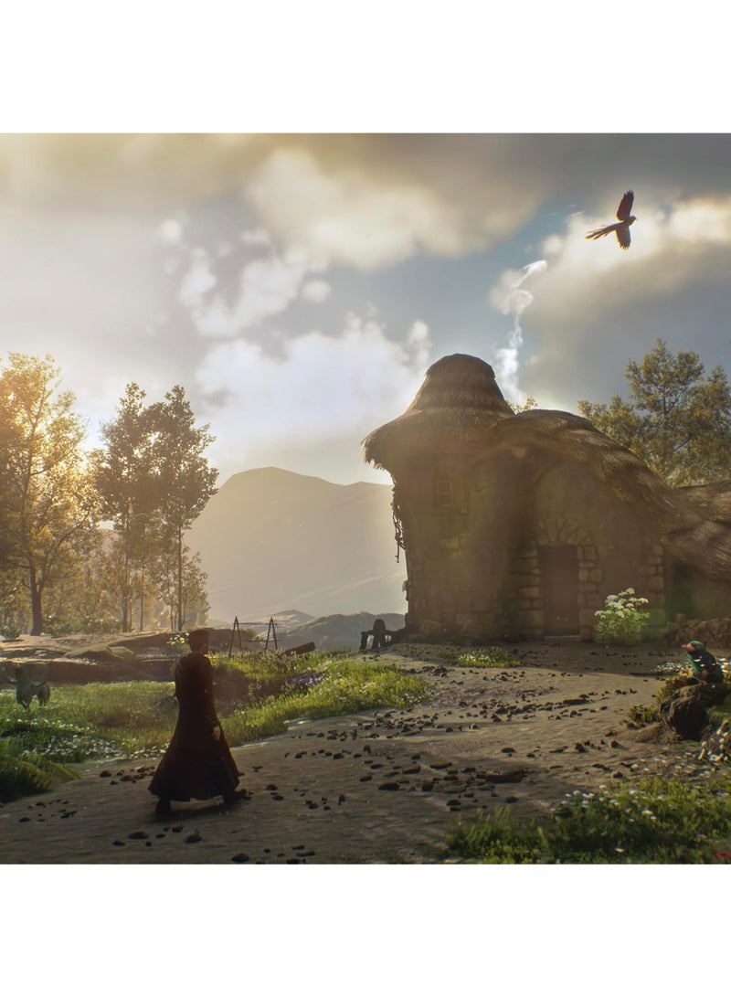 Warner Bros. Interactive - Hogwarts Legacy - Nintendo Switch - Image 1
