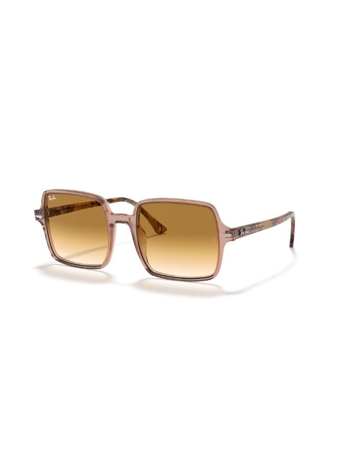 راي بان - Women's Full Rimmed Square Sunglasses 0RB1973 53 128151 - Image 1