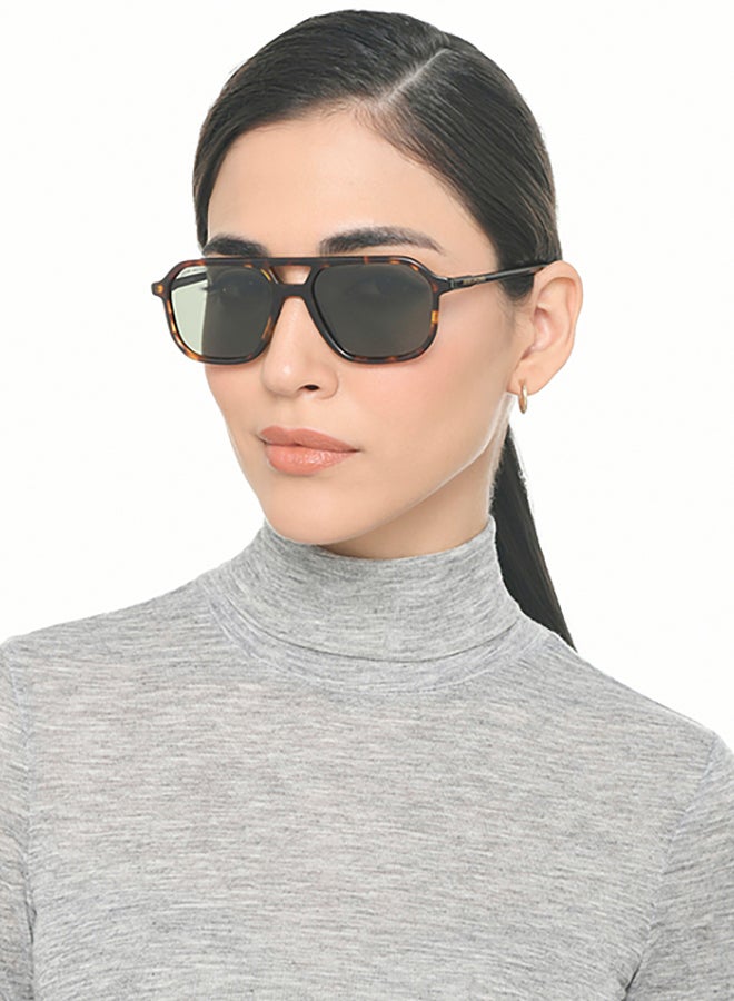 John Jacobs Brown Black Full Rim Rectangle John Jacobs JJ Tints JJ S70036-C1 Sunglasses  - Image 4
