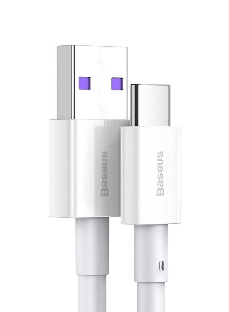 Baseus Superior Series Fast Charging Data Cable USB to Type-C 66W 1m - White - Image 2