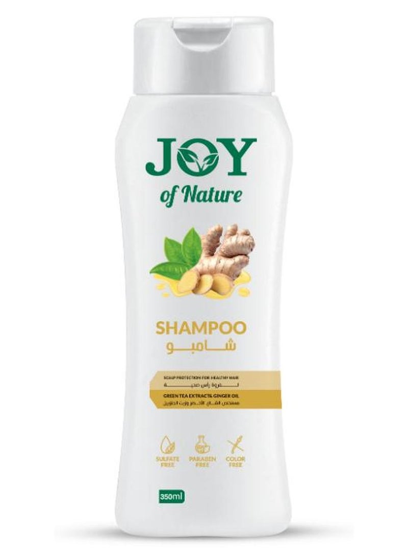 جوي شاي اخضر & جنزبيل شامبو  - 350ملليلتر