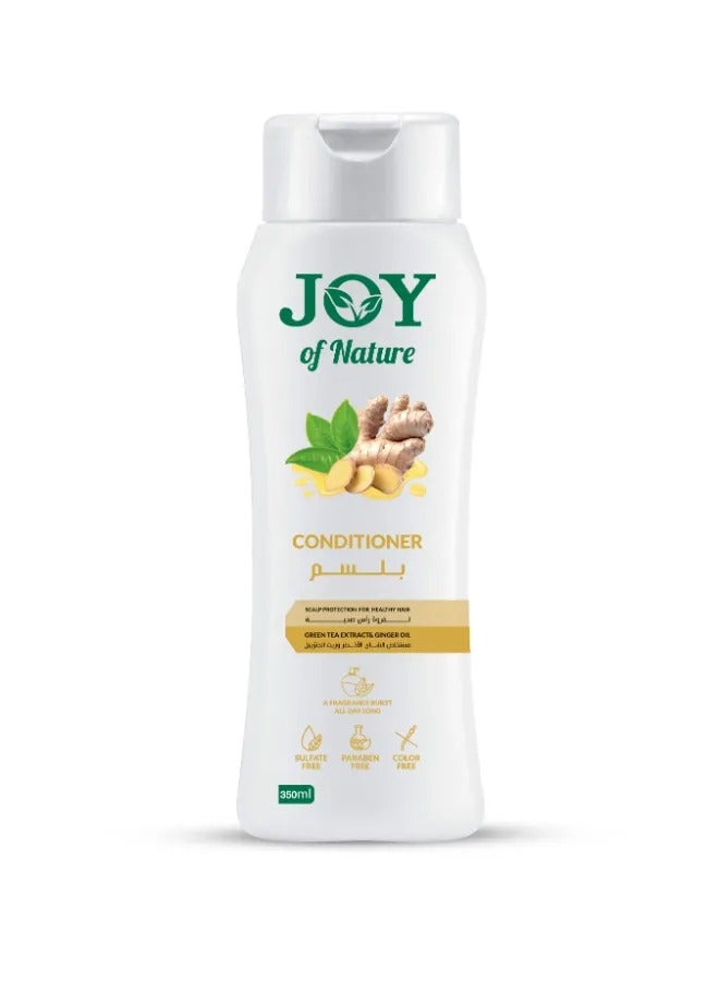 JOY - Green Tea & Ginger Conditioner  - 350ml - Image 1