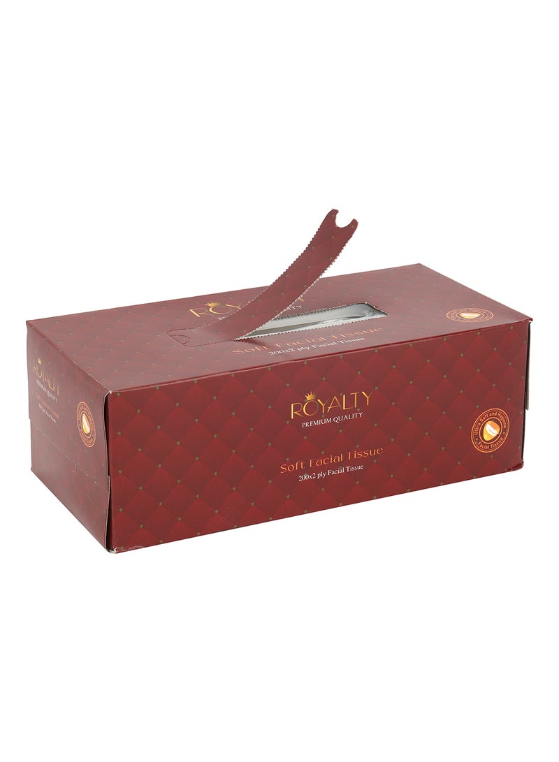 Soft Facial Tissue- PWFT1003| 200X2 Ply, 5 Packet, Premium-Quality and Super Soft| Tissue Paper Box For Everyday Use, Suitable for Home, Office and Commercial Space Assorted Colours