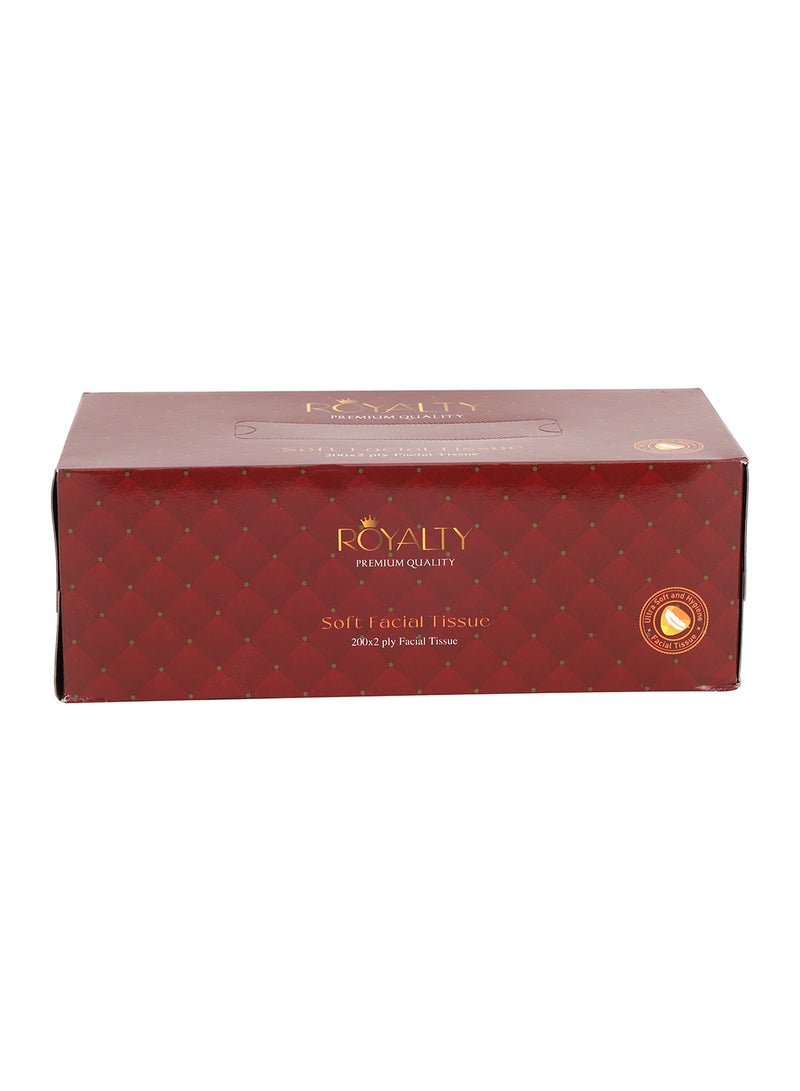 Soft Facial Tissue- PWFT1003| 200X2 Ply, 5 Packet, Premium-Quality and Super Soft| Tissue Paper Box For Everyday Use, Suitable for Home, Office and Commercial Space Assorted Colours