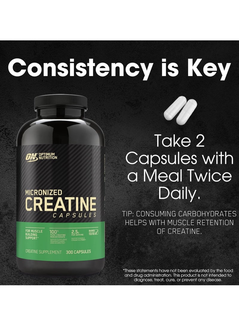 Optimum Nutrition Micronized Creatine Capsules, 300 Capsules, Pure Creatine Monohydrate  - Image 5
