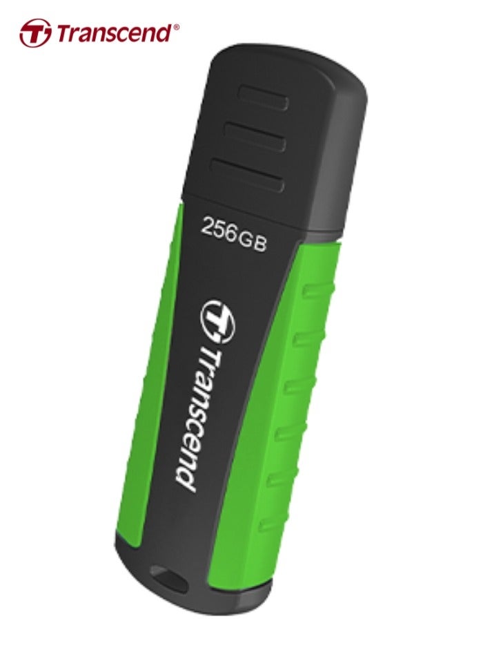 ترانسيند USB 3.1 Gen 1 Flash Drive | JetFlash 810 | TS64GJF810 256 GB  - Image 1