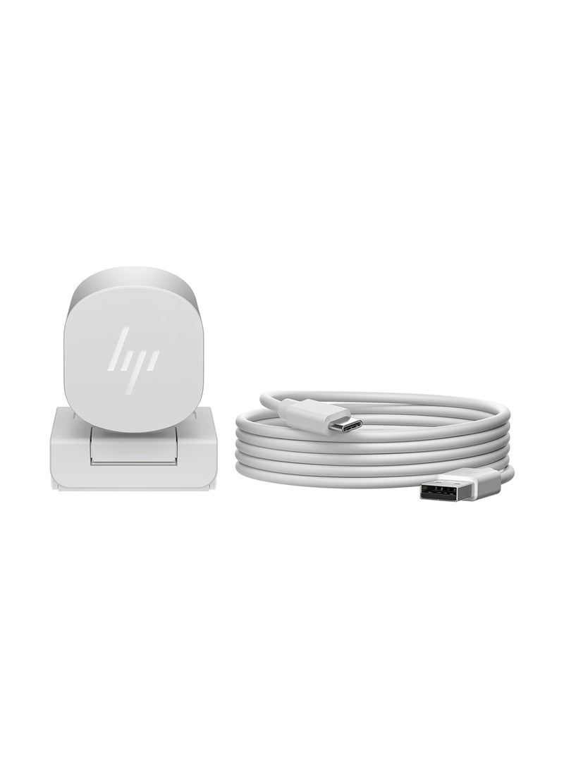 HP 960 4K Streaming Webcam - Works with Zoom, Chrome & Microsoft Teams, 695J6AA#ABB silver  - Image 4
