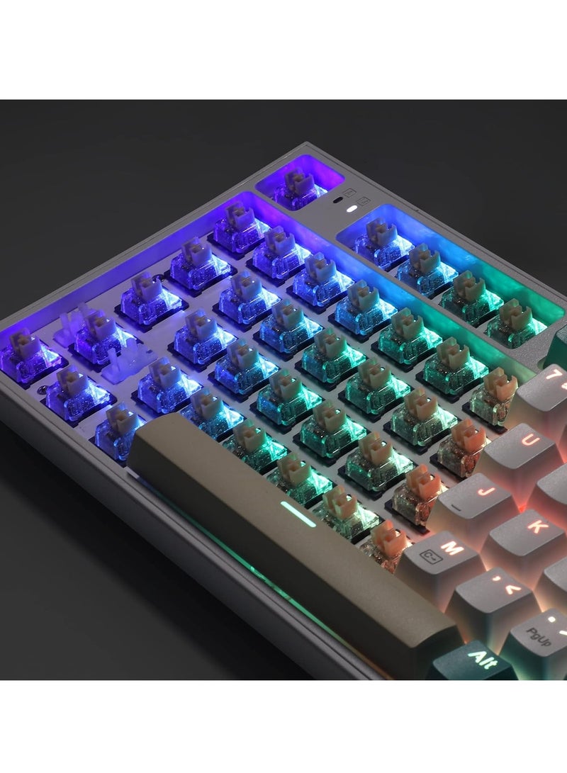 REDRAGON - A113 HP1 Panda Mechanical Keyboard Switches, Lubed Tactile Switches for Keyboard DIY, 3pin 60gf RGB MX Compatible Switches with Puller(38 pcs) - Image 1