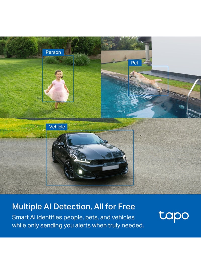 TC85 KIT, 2K QHD 4MP Solar-Powered Security Camera Kit|Free  AI Detection-Person, Pet & Vehicle|Color Night Vision|Continuous Solar Charging|IP66 Weatherproof|150° Super-Wide FOV|No Hub Required