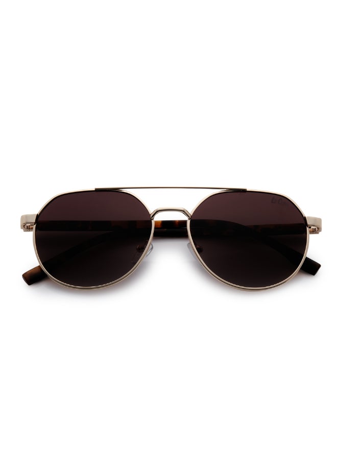 لي كوبر Polarized Sunglasses Gold Frame Gradient Brown Mirror Lens 56mm  - LC1206C01  - Image 5