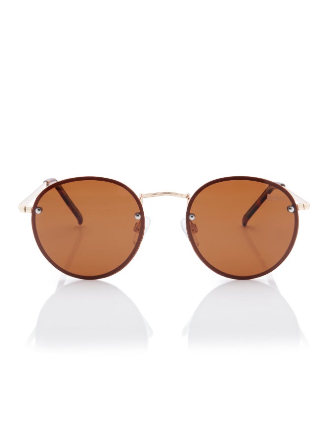 لي كوبر Polarized Sunglasses Gold Frame Brown Mirror Lens 53mm  - LC1212C01  - Image 1