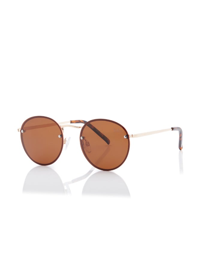 لي كوبر Polarized Sunglasses Gold Frame Brown Mirror Lens 53mm  - LC1212C01  - Image 2