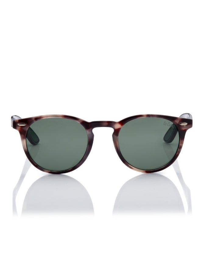 لي كوبر Women's Polarized Sunglasses G15 Frame Tortoise Tortoise Mirror Lens 48mm  - LC1216C03  - Image 1