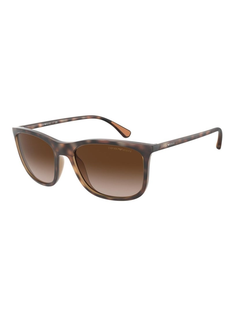 EMPORIO ARMANI Brown Wayfarer Unisex Sunglasses 0EA4155 50891357 Size 57  - Image 1
