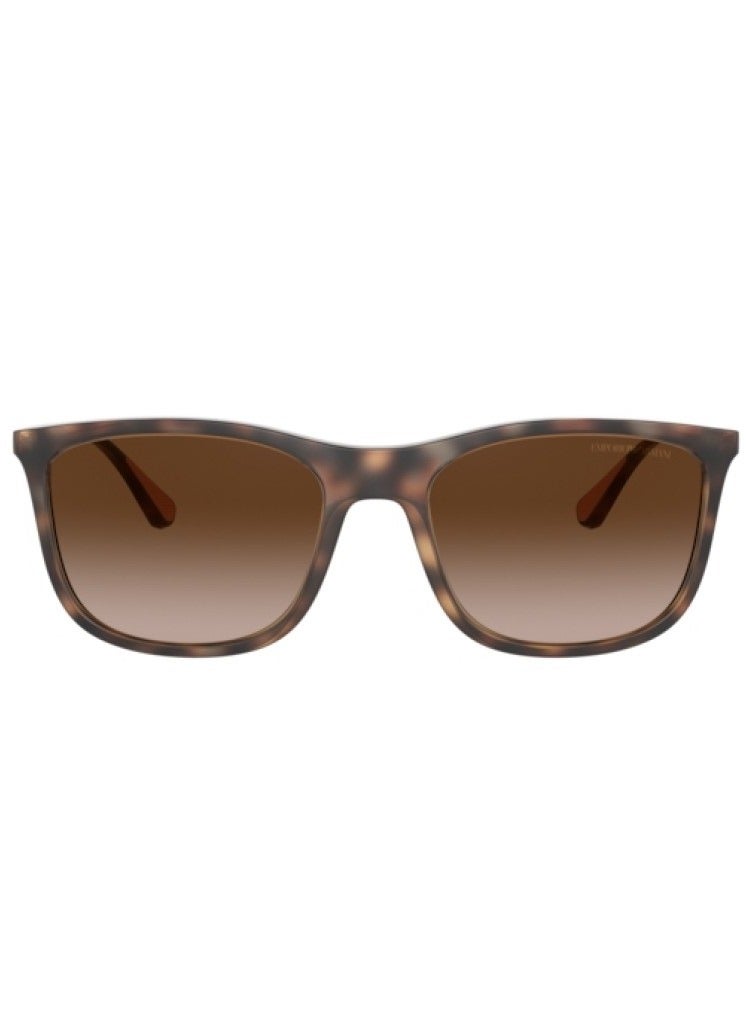 EMPORIO ARMANI Brown Wayfarer Unisex Sunglasses 0EA4155 50891357 Size 57  - Image 2