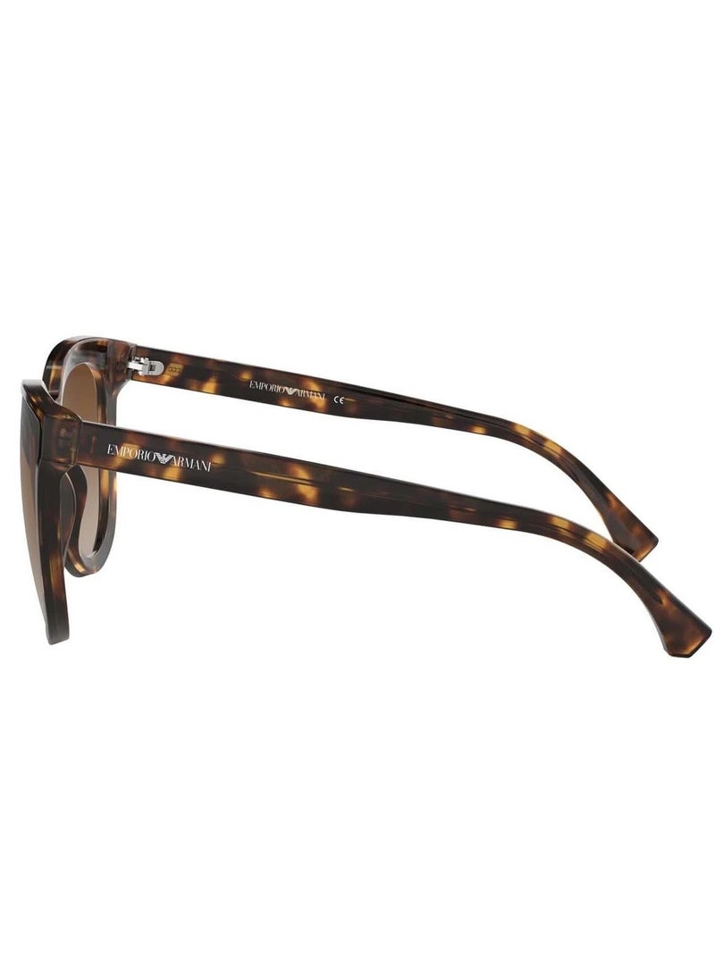 EMPORIO ARMANI Women's Brown Butterfly Women Sunglasses 0EA4125F 50891361 Size 61 Large  - Image 3