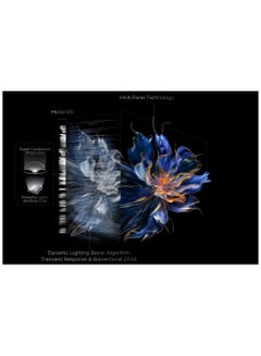 TCL 65 Inch Smart TV 4K QLED, Google TV, HDR 2600 nits CrystlGlow HVA Panel, 144Hz, Quantum Dot Technology, AiPQ Pro Processor, IMAX Enhanced Audio, Slim Design - (2025 Model) 65C7K Black  - Image 5