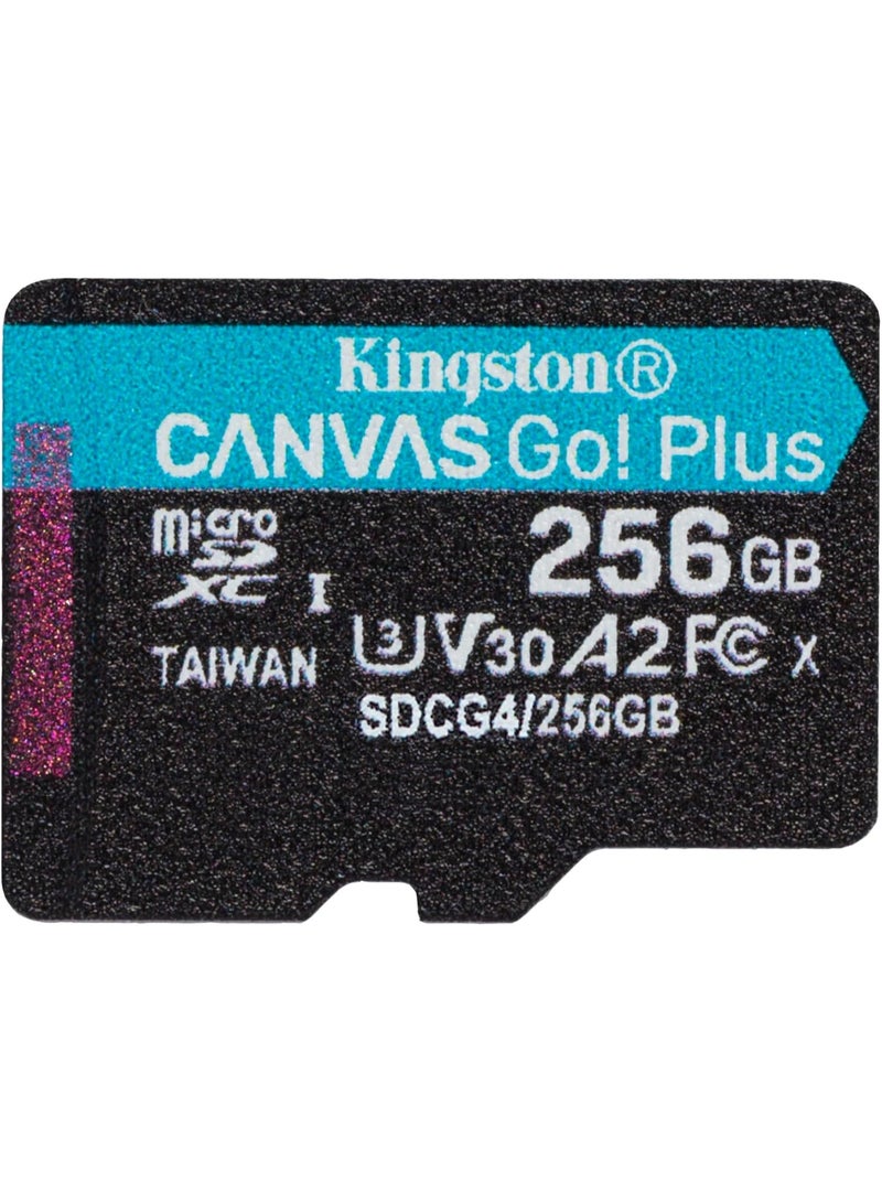Kingston Canvas Go Plus microSDXC Memory Card Gen4 200MB/s A2 U3 V30 Single Pack w/o ADP Card only-SDCG4/256GB | 256 GB - Image 1