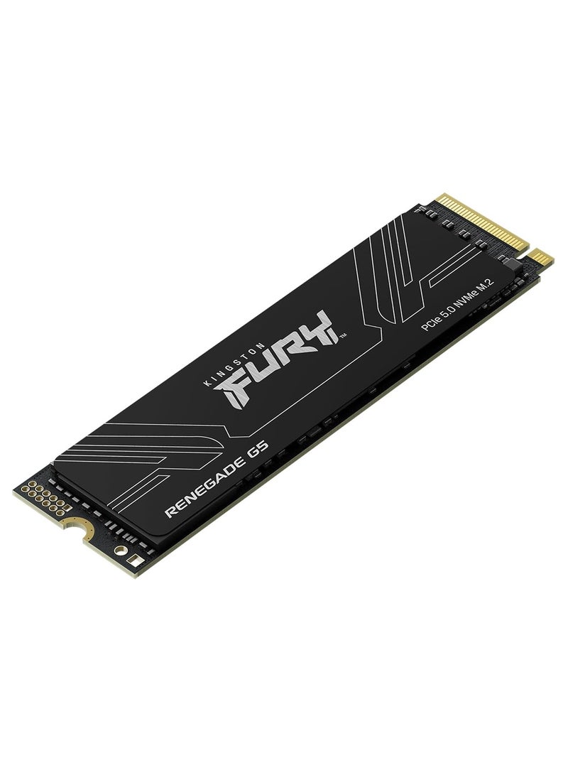 Kingston FURY Renegade G5 PCIe 5.0 NVMe M.2 SSD | 4 TB  - Image 2