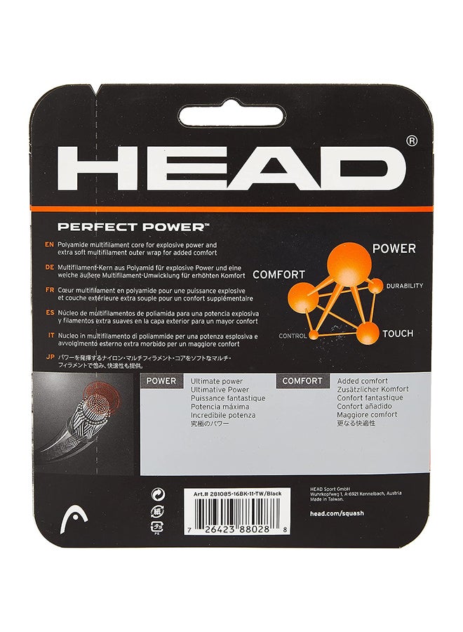 HEAD Perfect Power Squash String  - Image 2