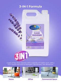 باكويل Shinewell Floor Cleaner Disinfectant 5 liter Floor Cleaner Liquid, Lavender Fragrance All Purpose Cleaner Purple  - Image 5