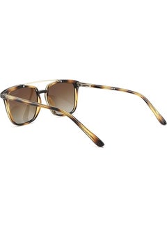 لي كوبر Polarized Sunglasses Shiny Demi Brown  Frame Gradient brown Mirror Lens 51mm  - LC1019C03  - Image 2