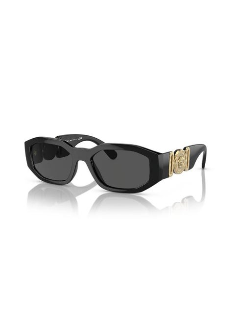 Full Rim Irregular Sunglasses 0VE4361