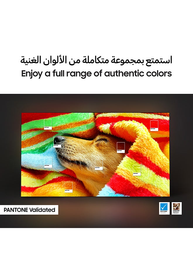 سامسونج - 77 Inch OLED TV, S85F, 4K, NQ4 AI Gen2 Processor, 4K AI Upscaling, OLED HDR, PANTONE Validated,  Vision AI Smart TV, QA77S85FAEXZN (2025 - UAE Version) S85F GRAPHITE BLACK - Image 1