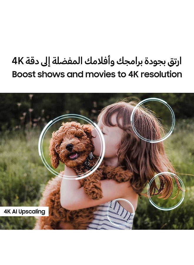 Samsung - 75 Inch Neo QLED TV, QN80F, 4K, Mini LED, NQ4 AI Gen2 Processor, Quantum Matrix Technology Core, 4K AI Upscaling, Dolby Atmos,  Vision AI Smart TV, QA75QN80FAUXZN (2025 - UAE Version) QN80F TITAN BLACK - Image 1