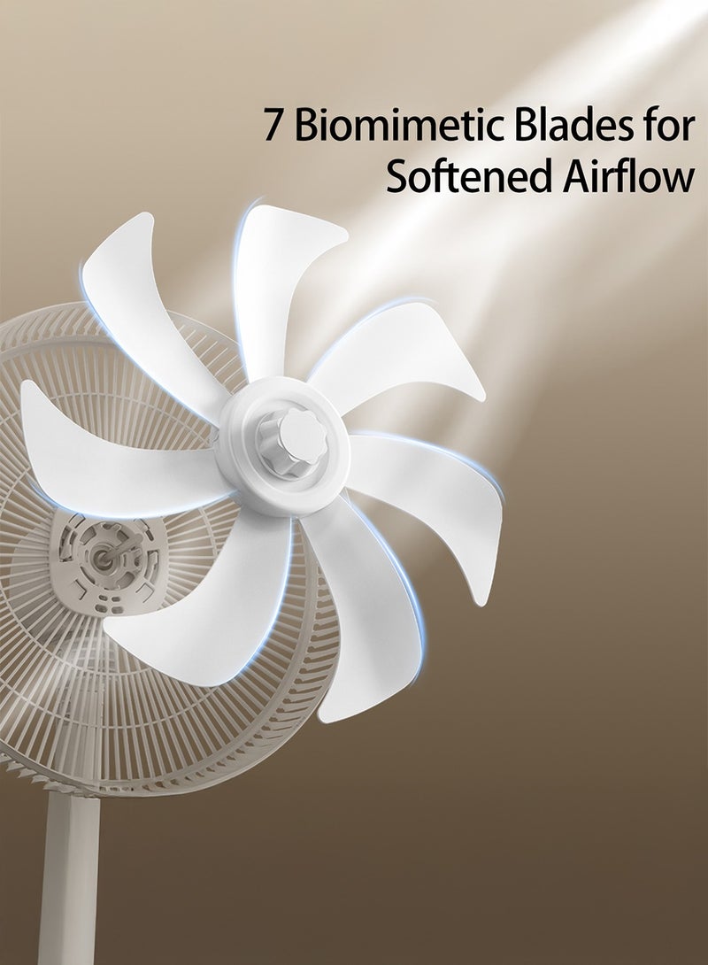 Deerma High-Power Pedestal Floor Fan with Biomimetic Blades, Wide-Angle Oscillation, 2-Layer Wind Concentration Mesh, 4 Height Levels, Touch Controls & 3-Speed Settings – Quiet & Energy-Efficient Floor Fan for Home or Office 50 W DEM-FD11W White  - Image 5