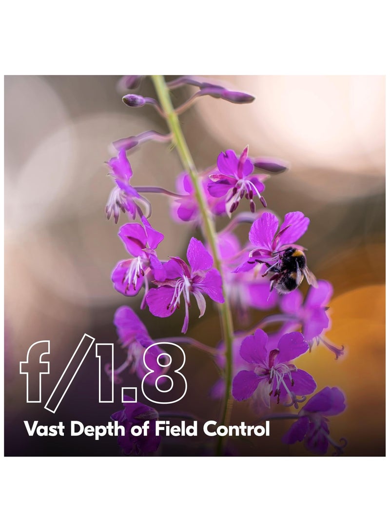 Nikon NIKKOR Z 135mm f/1.8 S Plena Lens – Premium Full-Frame Telephoto Prime for Z-Mount Mirrorless Cameras, Ideal for Portraits, Weddings And Fine Art black - Image 4