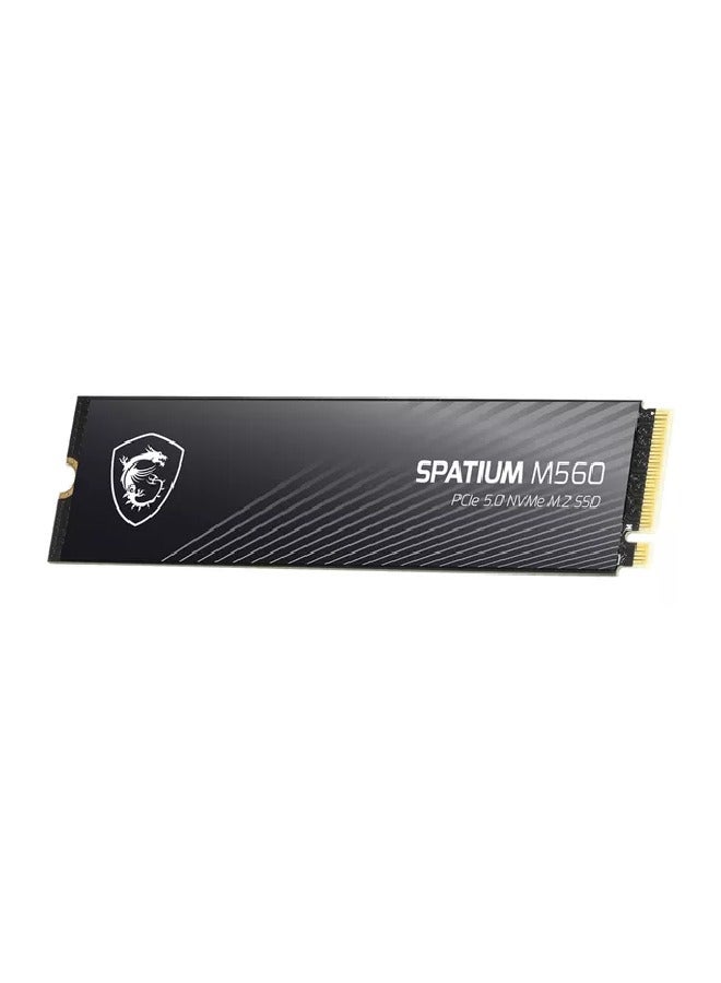 MSI SPATIUM M560 PCIe 5.0 NVMe M.2 SSD 1TB 1 TB  - Image 1