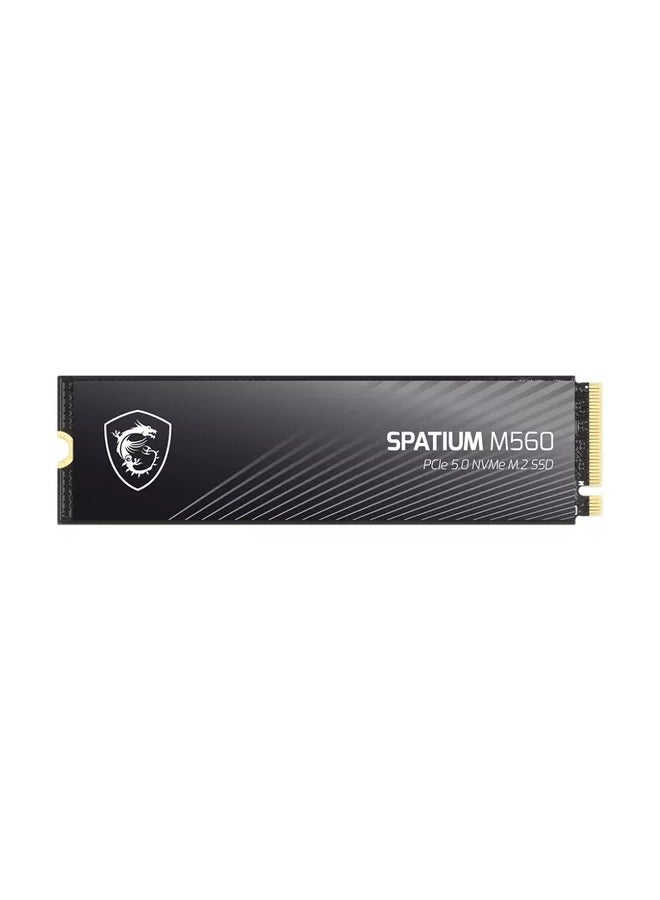 MSI SPATIUM M560 PCIe 5.0 NVMe M.2 SSD 1TB 1 TB  - Image 3