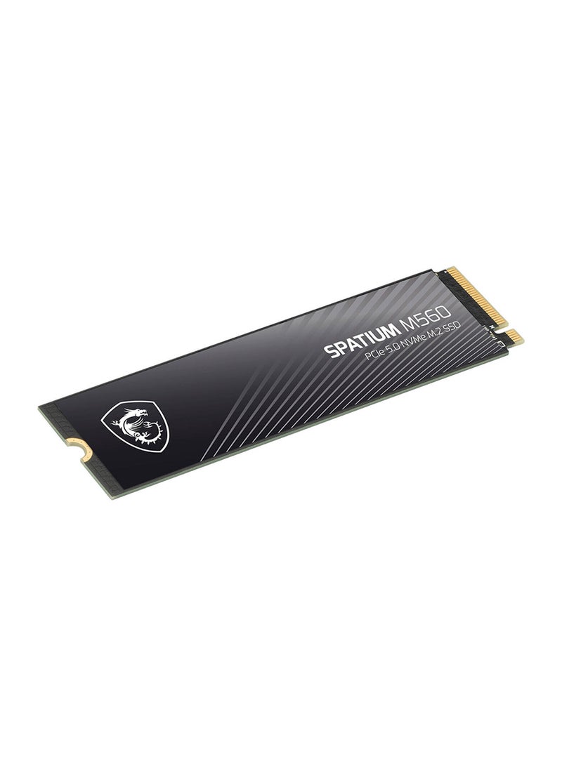 MSI SPATIUM M560 PCIe 5.0 NVMe M.2 Internal SSD, 1TB Capacity, Up to 10200 MB/s Sequential Read & 8400 MB/s Sequential Write Speed, 600 TBW, 3D NAND Flash Memory 1 TB  - Image 4