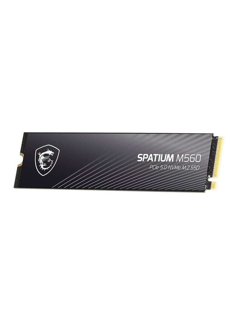 MSI SPATIUM M560 PCIe 5.0 NVMe M.2 Internal SSD, 1TB Capacity, Up to 10200 MB/s Sequential Read & 8400 MB/s Sequential Write Speed, 600 TBW, 3D NAND Flash Memory 1 TB  - Image 2