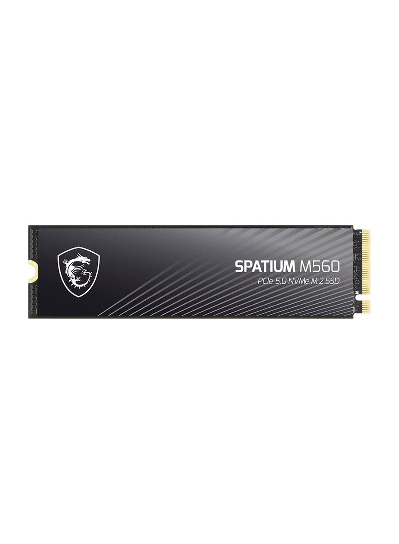 MSI SPATIUM M560 PCIe 5.0 NVMe M.2 Internal SSD, 1TB Capacity, Up to 10200 MB/s Sequential Read & 8400 MB/s Sequential Write Speed, 600 TBW, 3D NAND Flash Memory 1 TB  - Image 3