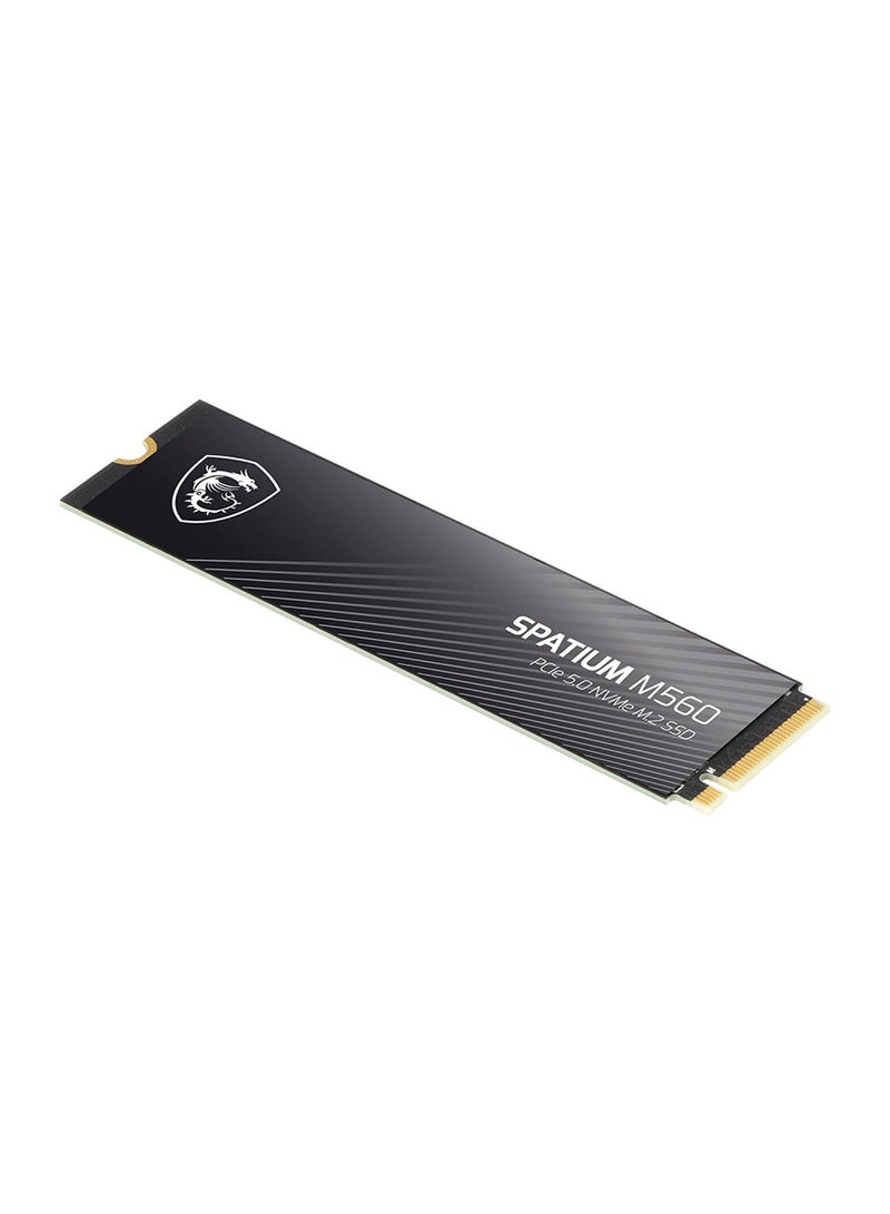 MSI SPATIUM M560 PCIe 5.0 NVMe M.2 Internal SSD, 1TB Capacity, Up to 10200 MB/s Sequential Read & 8400 MB/s Sequential Write Speed, 600 TBW, 3D NAND Flash Memory 1 TB  - Image 5