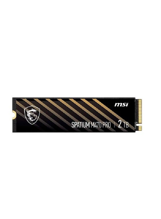 MSI SPATIUM M470 PRO PCIe 4.0 NVMe M.2 2TB 2 TB  - Image 1