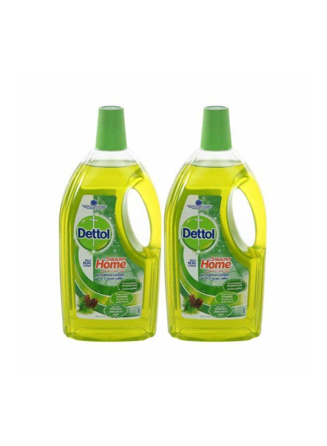 Dettol 4 In 1 Floor Cleaner, Pine, Pack Of 2 900ml 