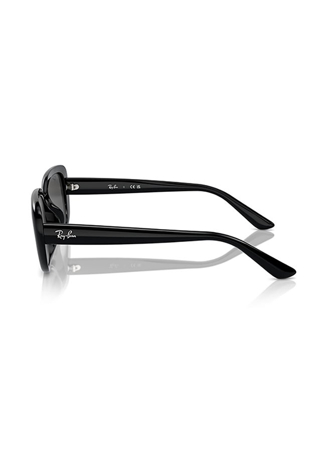 Ray-Ban Ray Ban Unisex Pillow  Sunglasses - Rb4421D - Lense Size:56Mm - Black  - Image 5