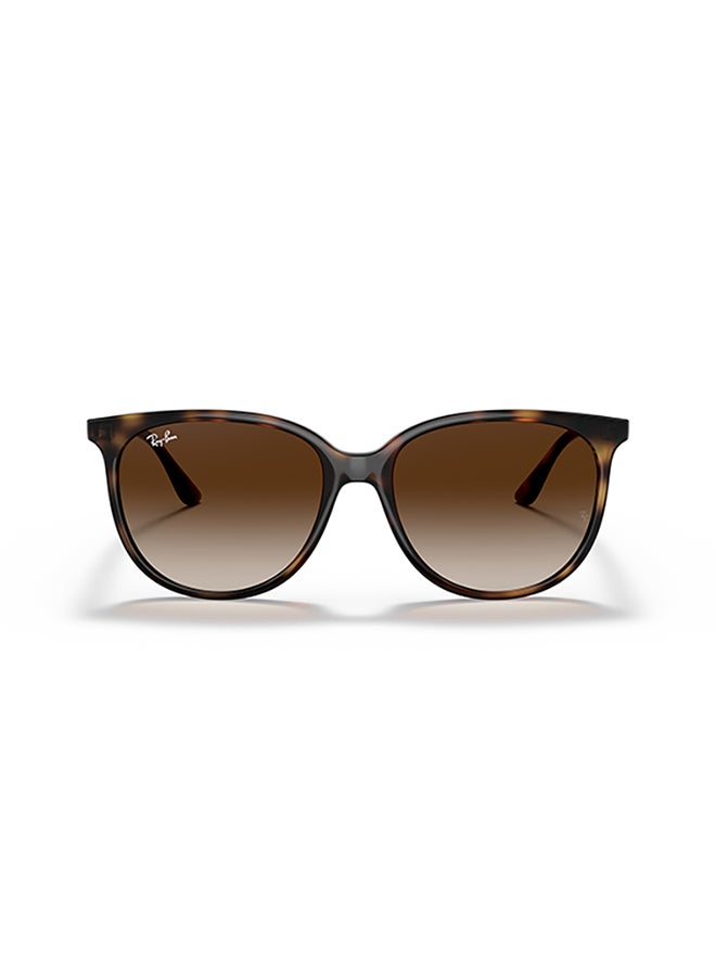 راي بان Women's Ray Ban Woman Square  Sunglasses - Rb4378 - Lense Size:54Mm - Havana - Image 2