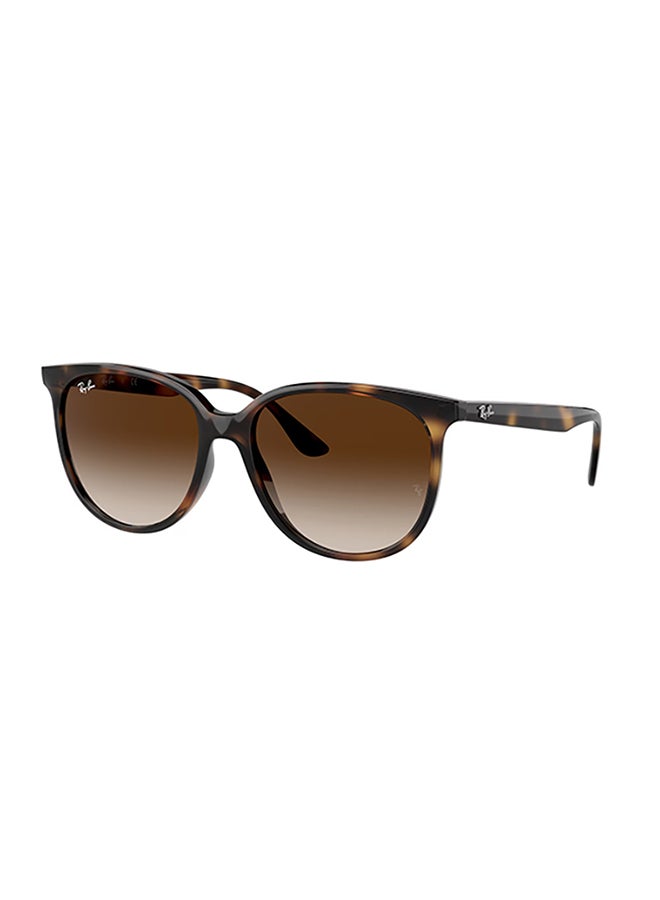 راي بان Women's Ray Ban Woman Square  Sunglasses - Rb4378 - Lense Size:54Mm - Havana - Image 1